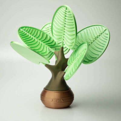 IMG_6598 Planta Suport de Pahare