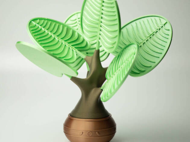 IMG_6598 Planta Suport de Pahare