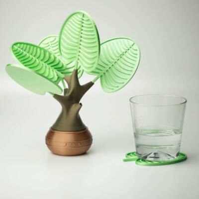 IMG_6599 Planta Suport de Pahare