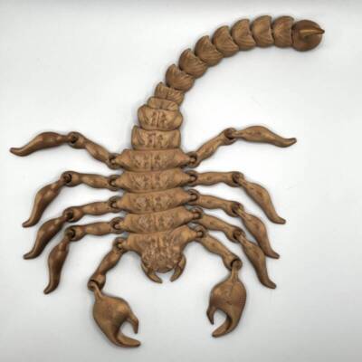 Scorpion Flexi