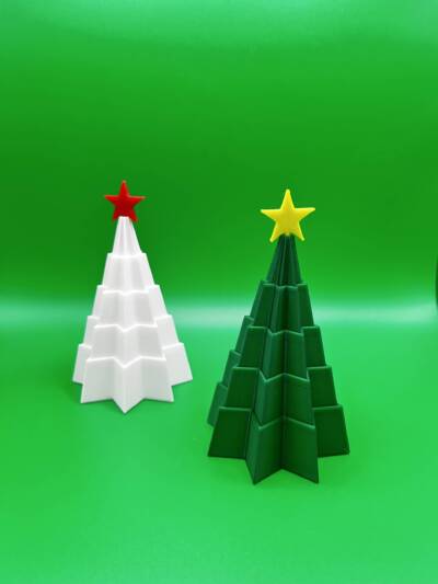 IMG_0824 Bradulet Expandabil