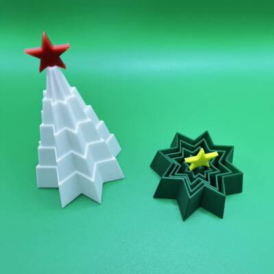 IMG_0827 Bradulet Expandabil