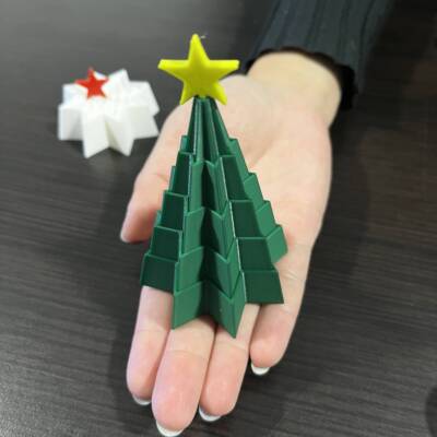 IMG_0831 Bradulet Expandabil